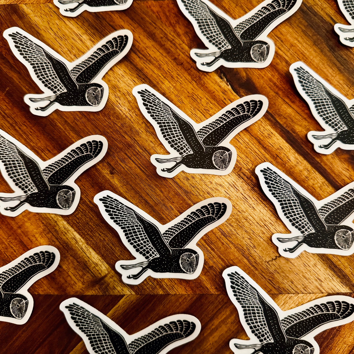 Owl Sticker with Clear Background