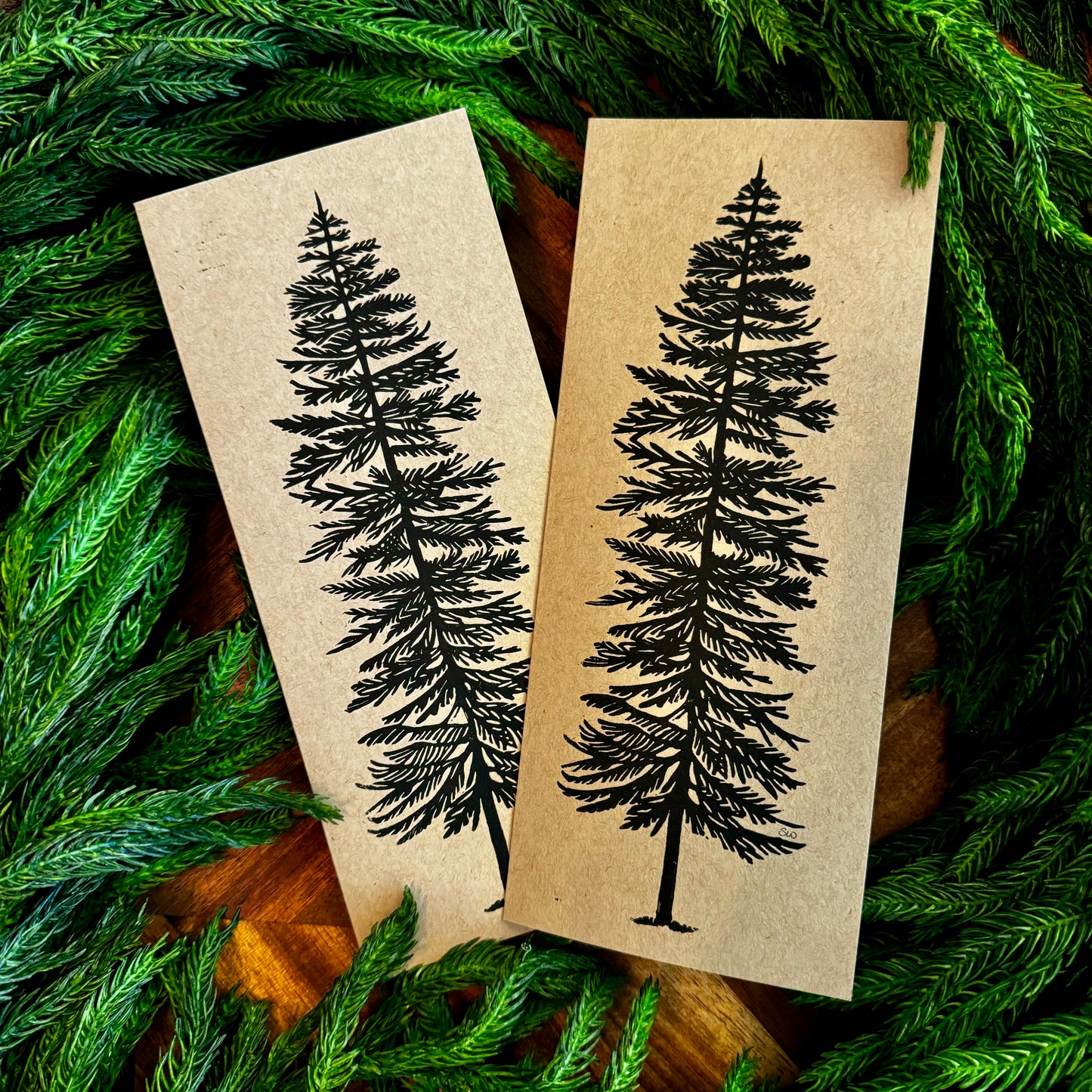 Tall Tree Card