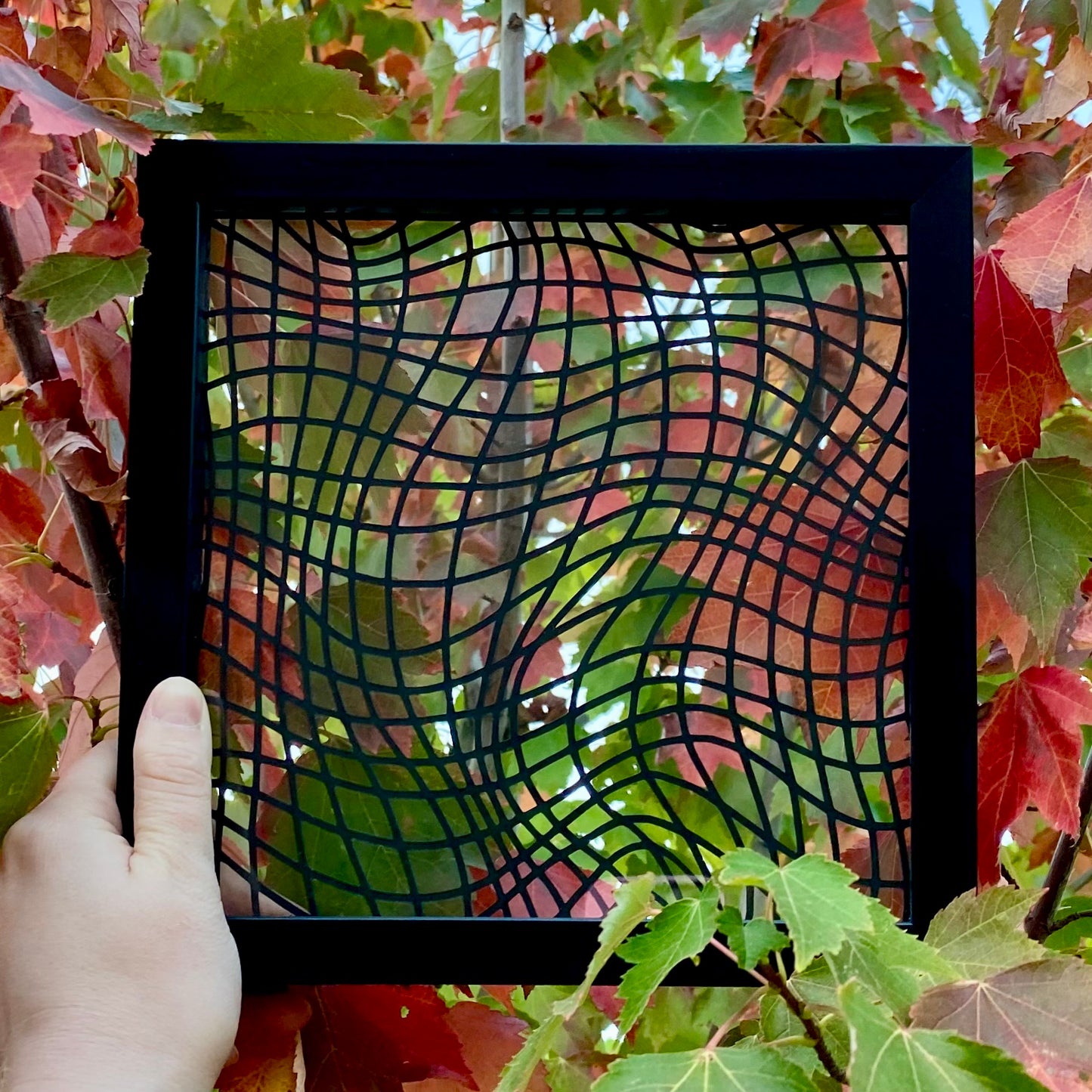 Framed Black Abstract Paper Cut