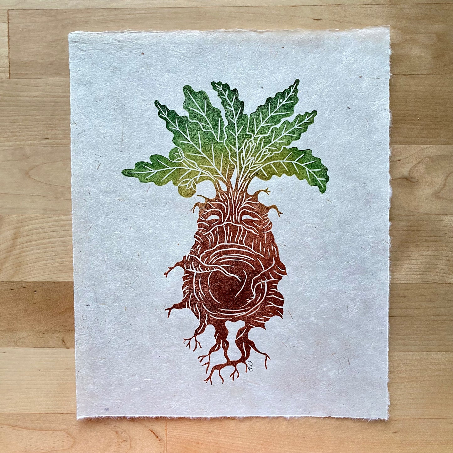 Mandrake Print