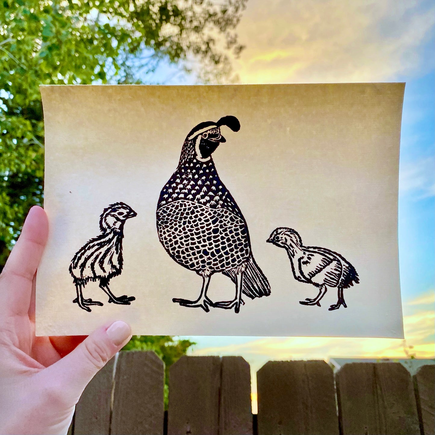 Quail Family Print