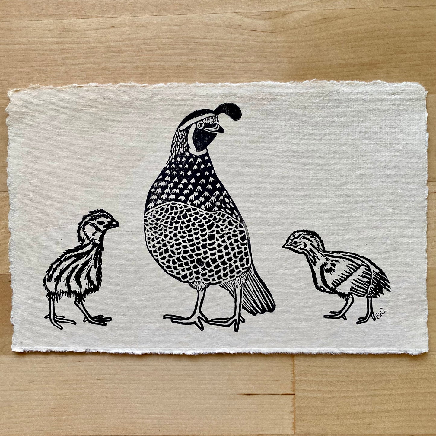 Quail Family Print