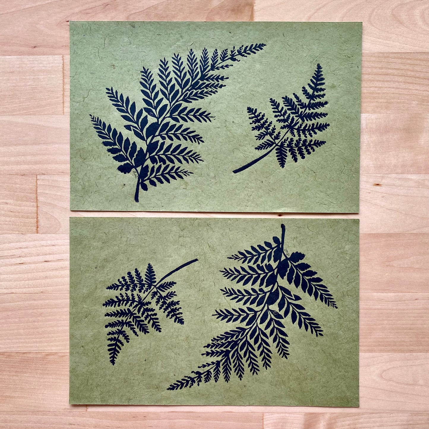 Two Ferns Print