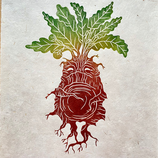 Mandrake Print
