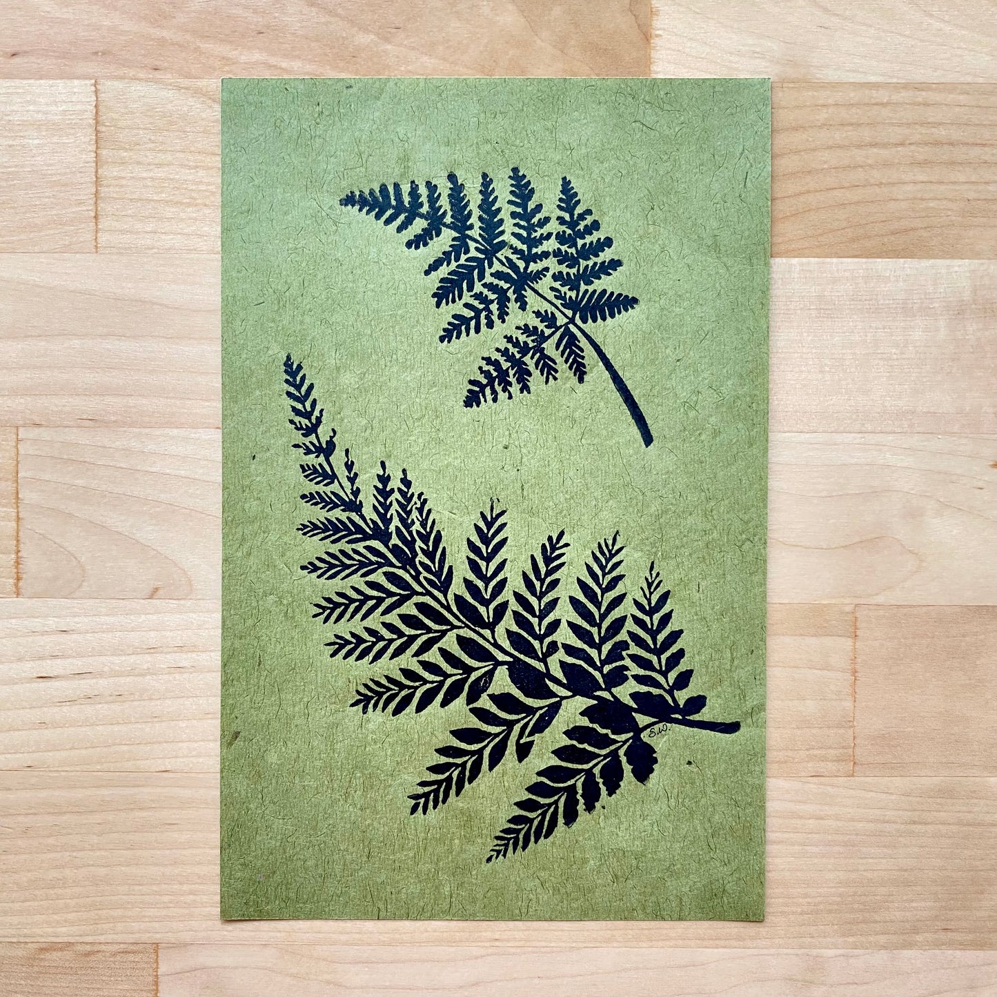 Two Ferns Print